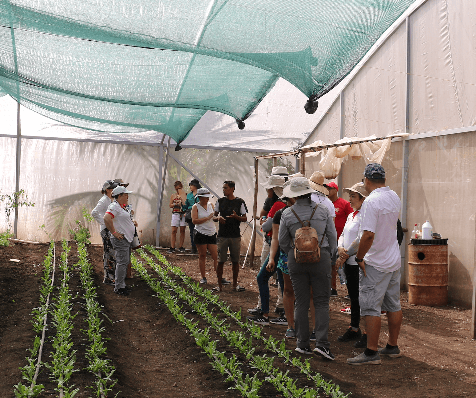 Inaugurarán huertos comunitarios en San Rafael de Heredia, la UNA e isla Venado