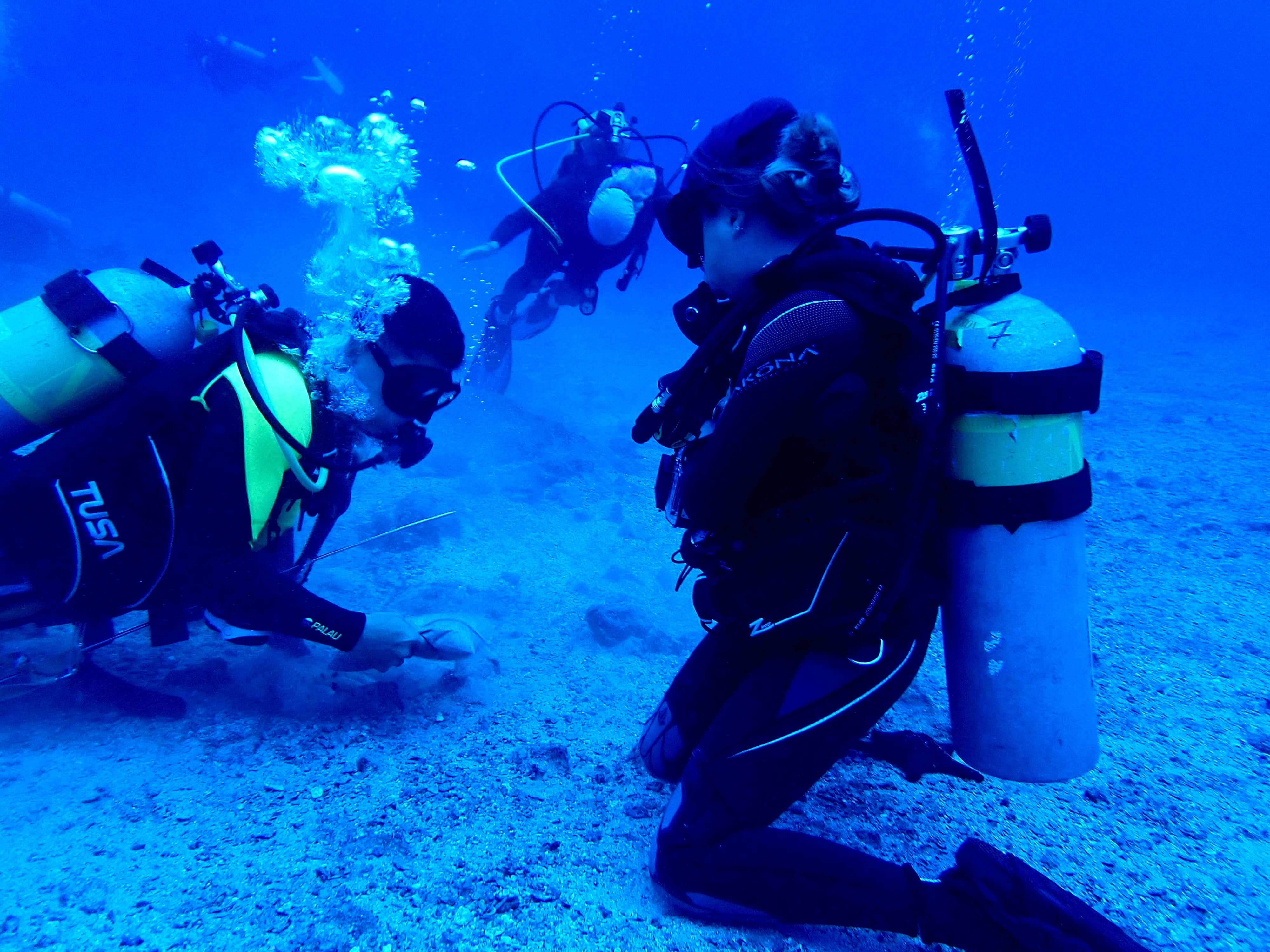 Microplásticos y su impacto en la biodiversidad marina