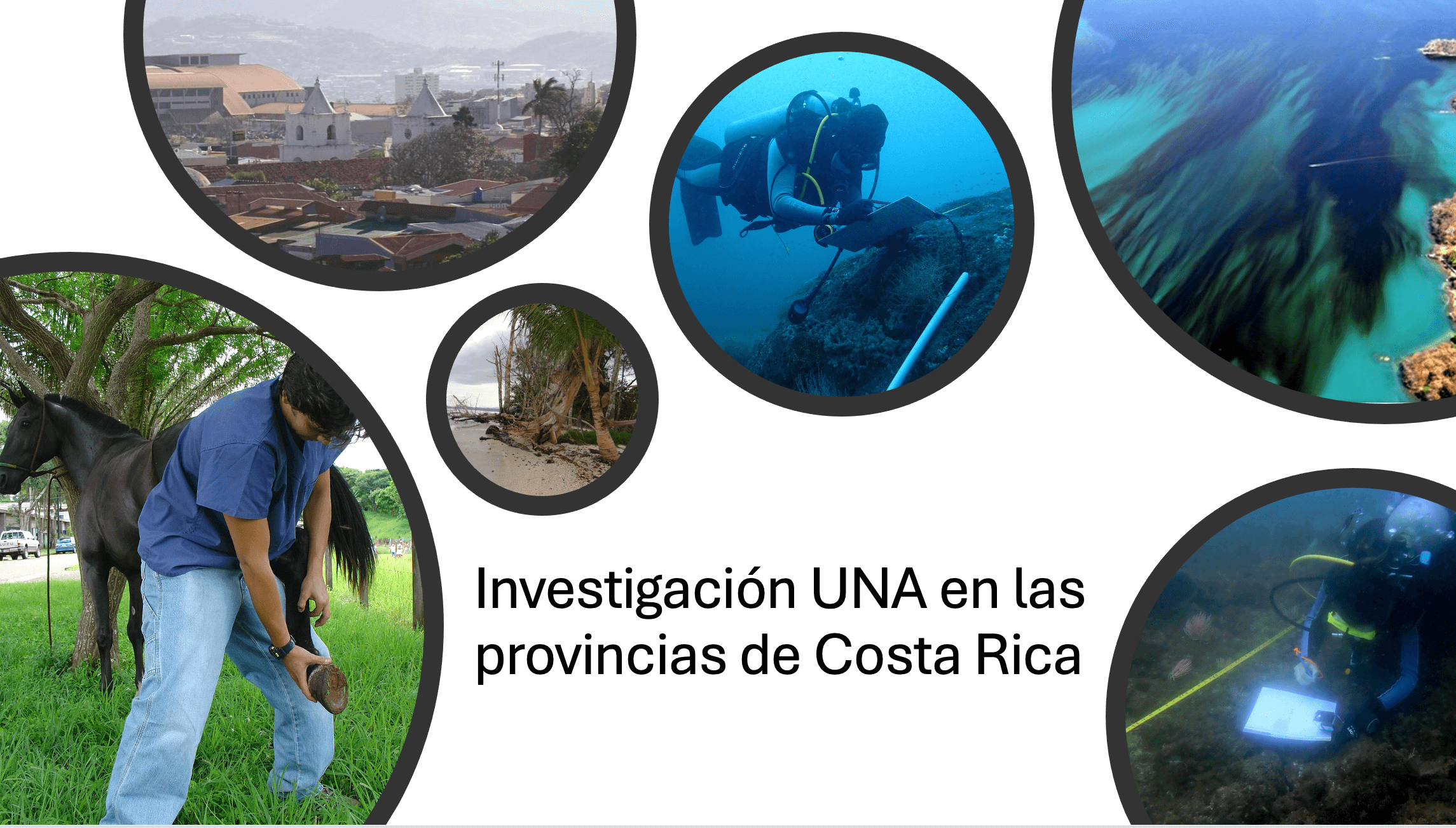 Investigación regional para el desarrollo del país