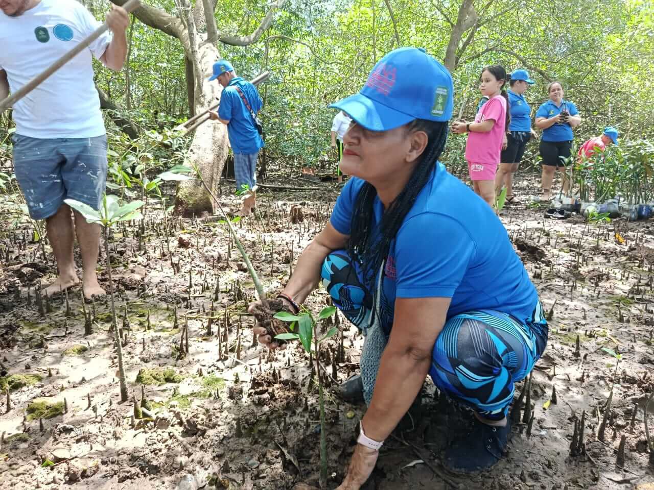 Sembrando el futuro en el manglar